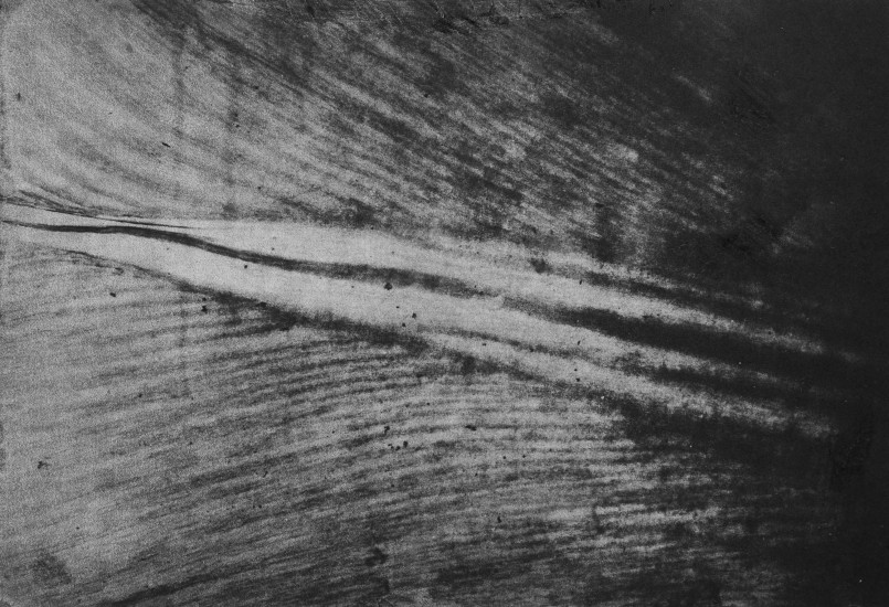 Organic composition IV | 2017 | 38x58cm | photogravure